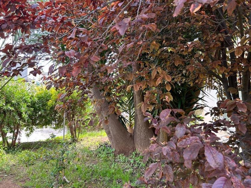 バーリGiardino A Mareアパートメント エクステリア 写真