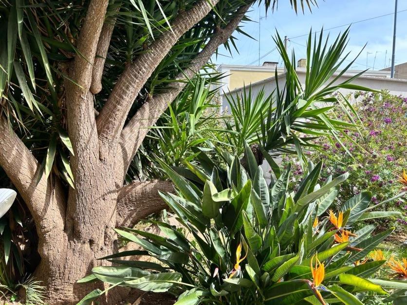 バーリGiardino A Mareアパートメント エクステリア 写真