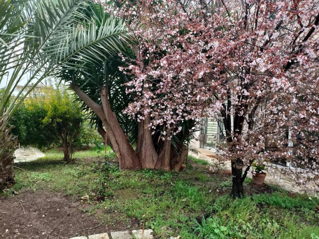 バーリGiardino A Mareアパートメント エクステリア 写真